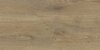 Stargres Pinea Beige 30x60